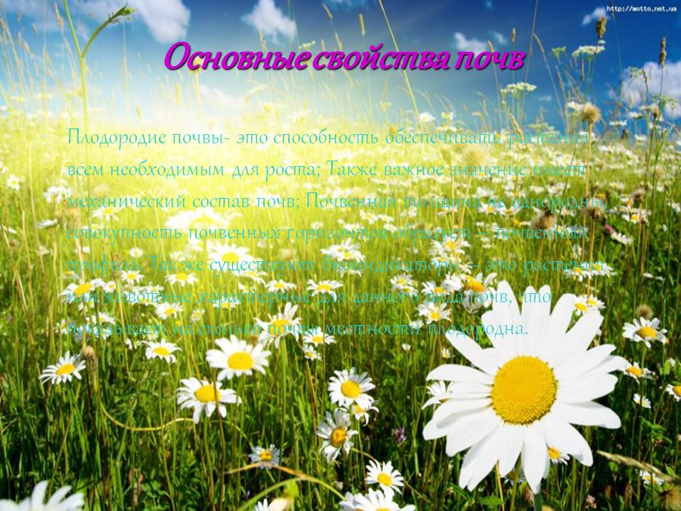 Основные свойства почв