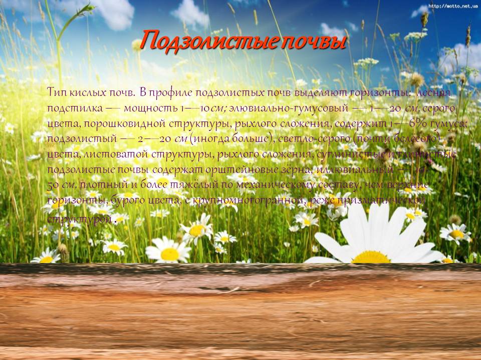 Подзолистые почвы