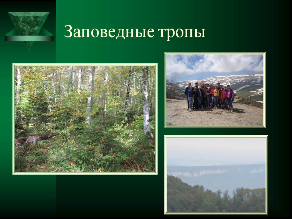 Заповедные тропы