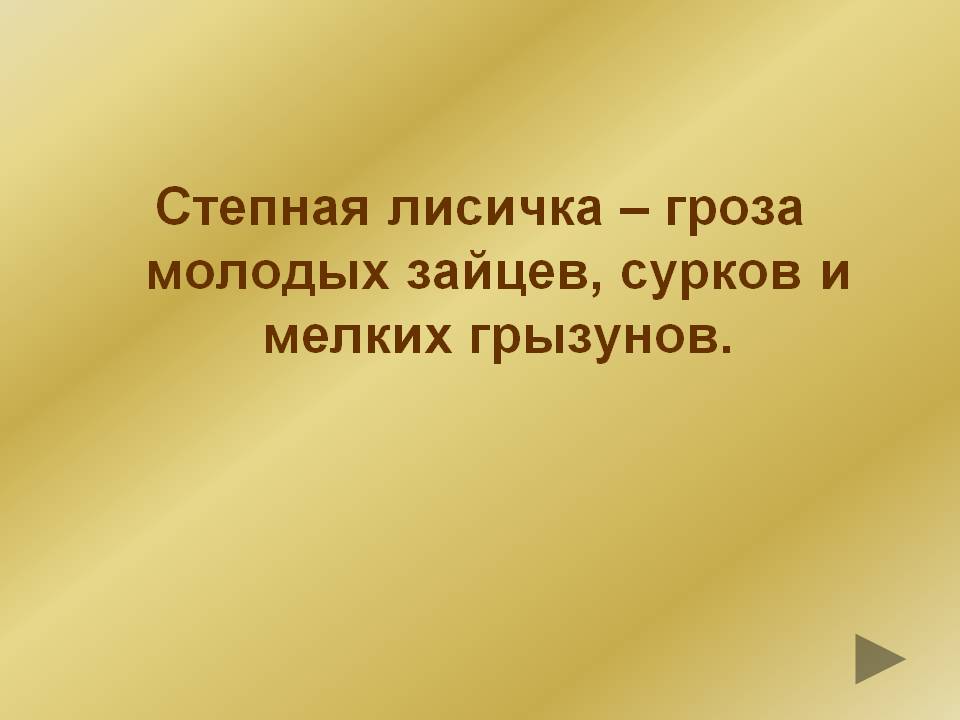Степная лисичка – гроза молодых зайцев, сурков и мелких грызунов