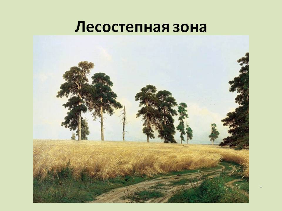 Лесостепная зона