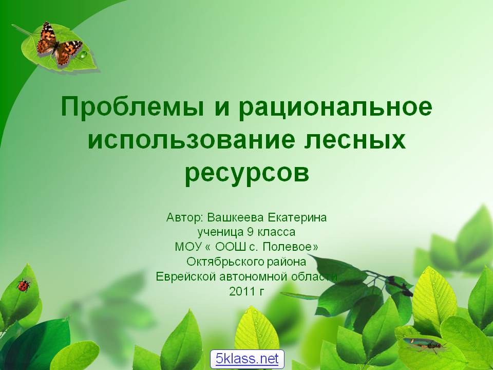 Проблемы и рациональное использование лесных ресурсов