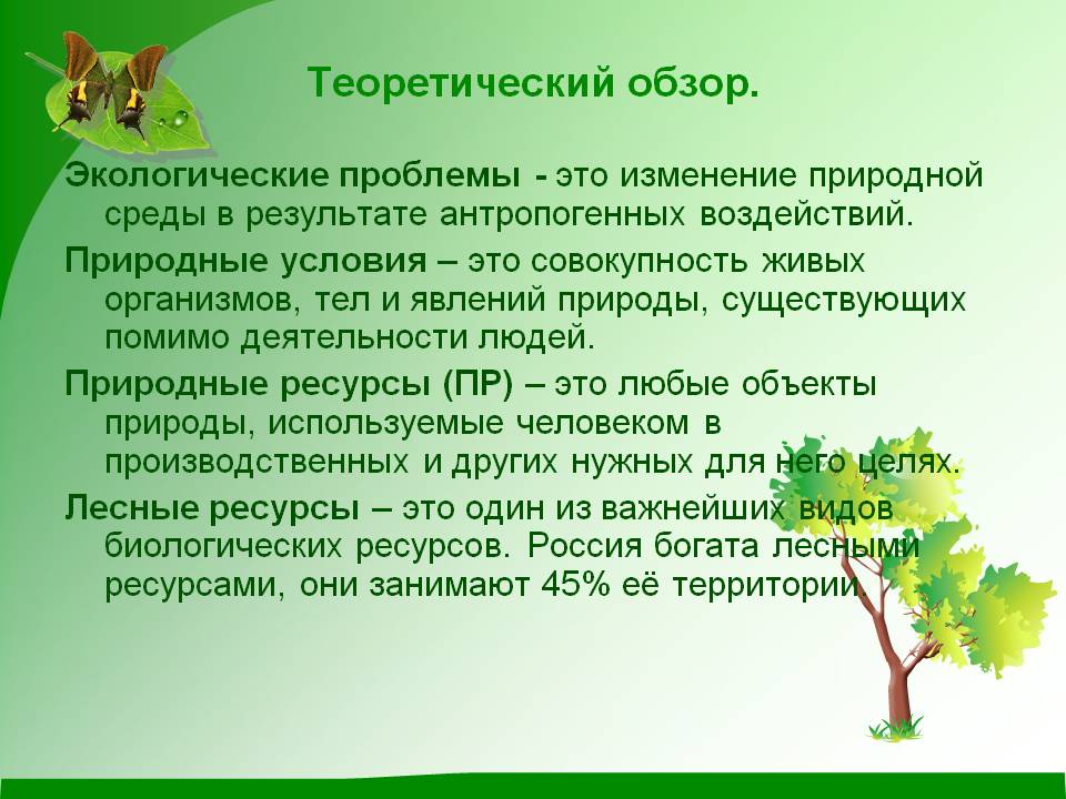 Теоретический обзор