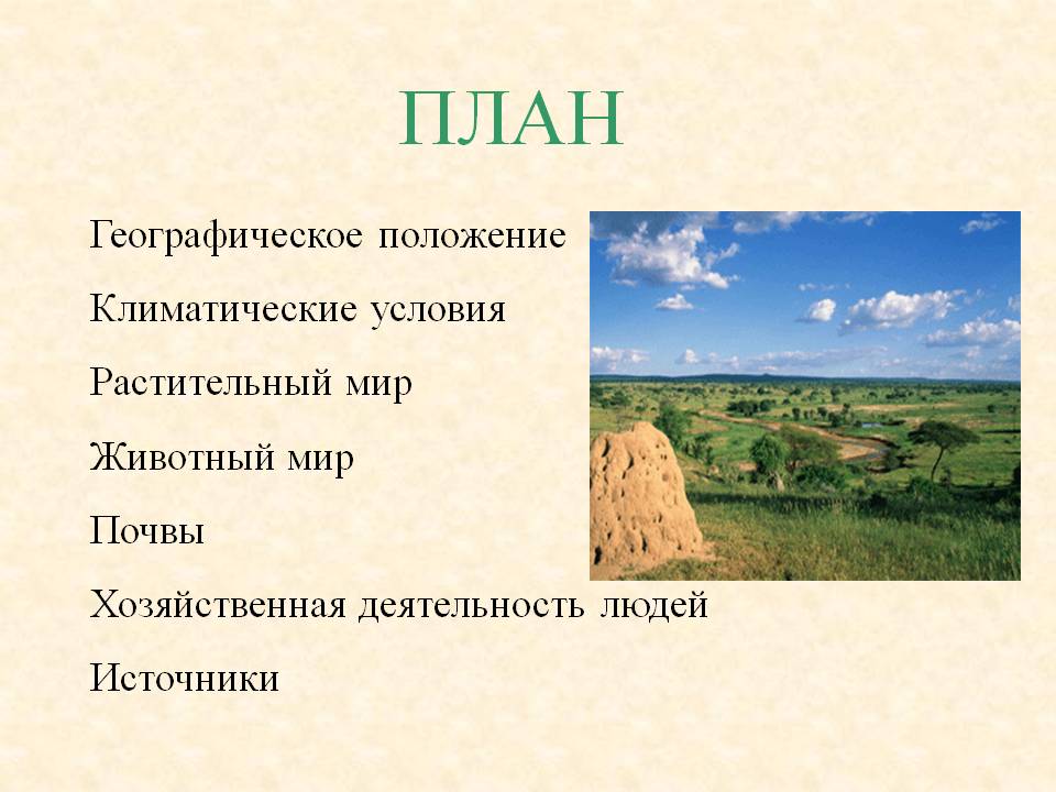 План