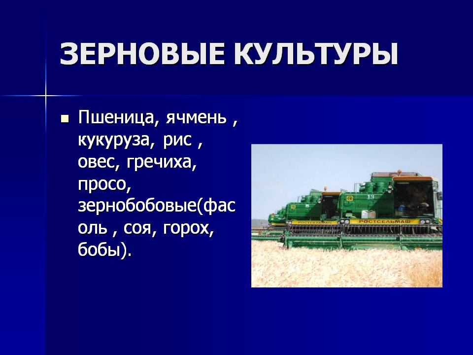 Зерновые культуры