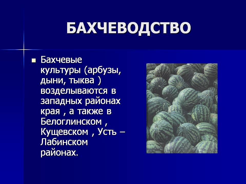 Бахчеводство