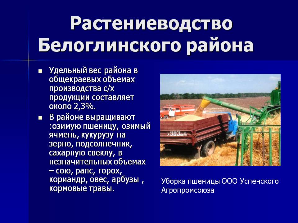 Растениеводство Белоглинского района