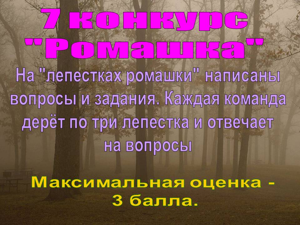 7 конкурс "Ромашка"