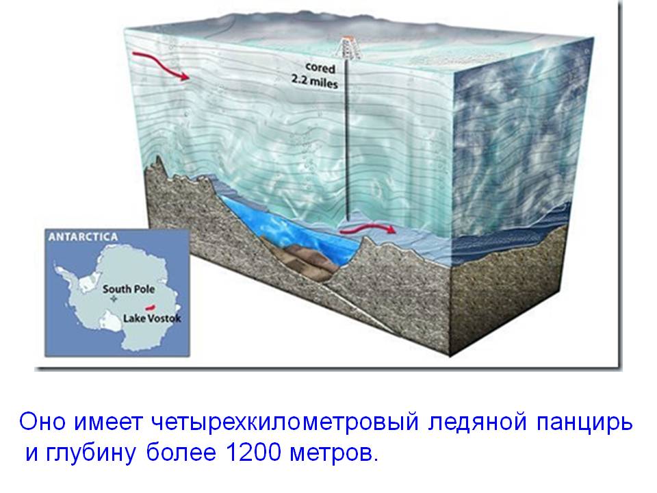 Ледяной панцирь