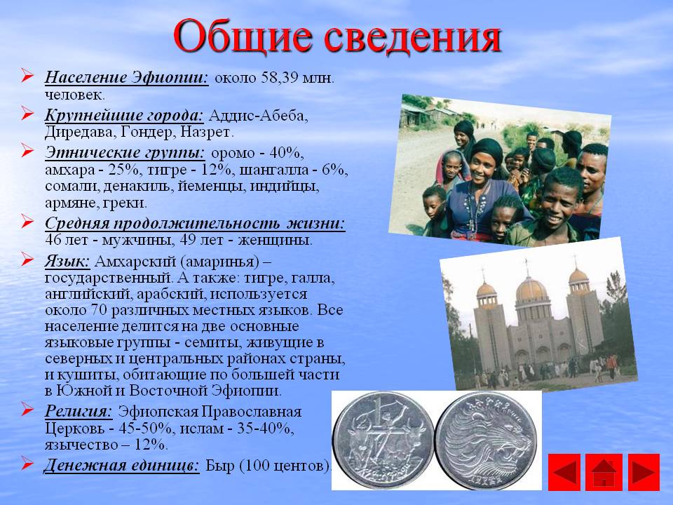 Общие сведения
