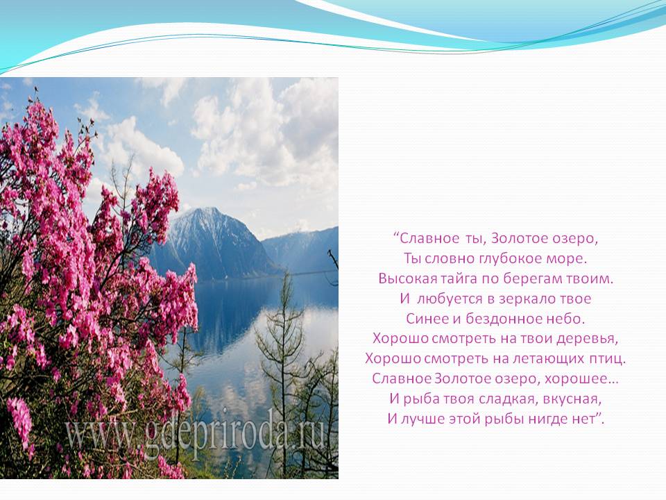 “Славное ты, Золотое озеро, Ты словно глубокое море