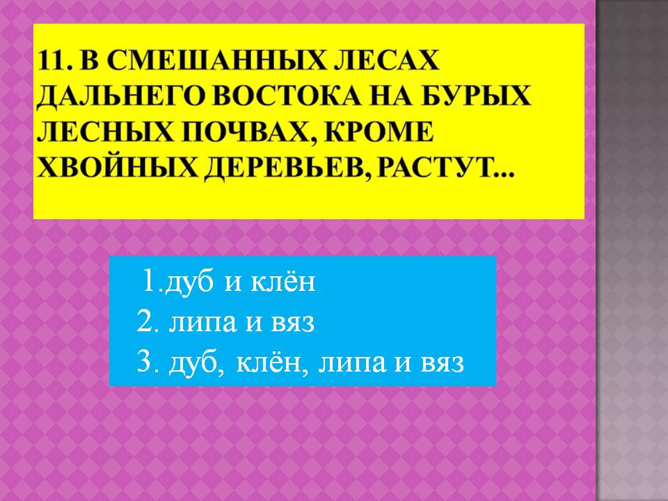 1.Дуб и клён 2. Липа и вяз 3. Дуб, клён, липа и вяз