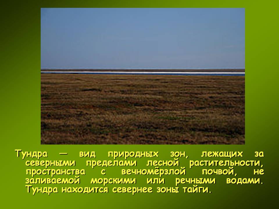 Тундра — вид природных зон, лежащих за северными пределами лесной