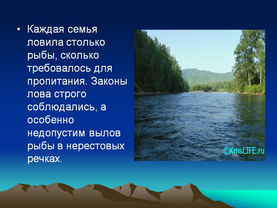 Семья ловила столько рыбы, сколько требовалось