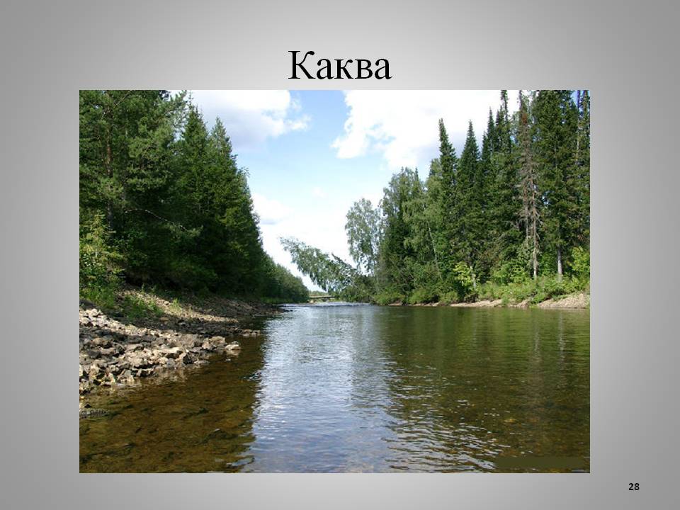 Каква