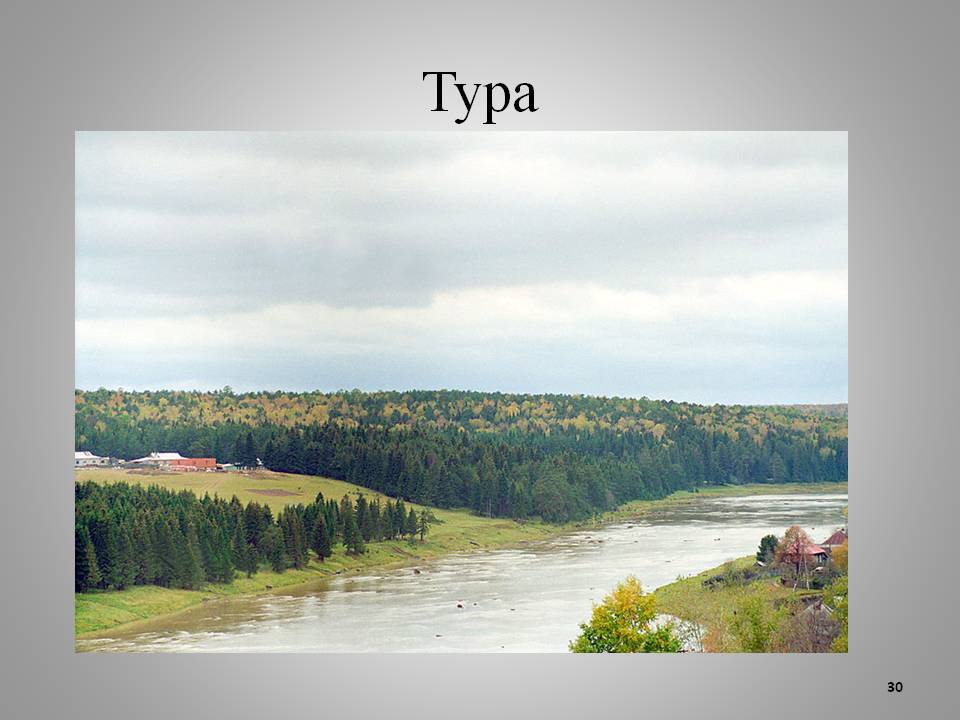Тура