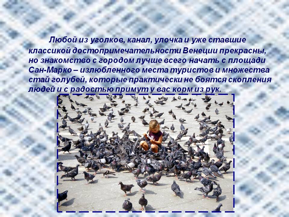 Любой из уголков, канал, улочка и уже ставшие классикой