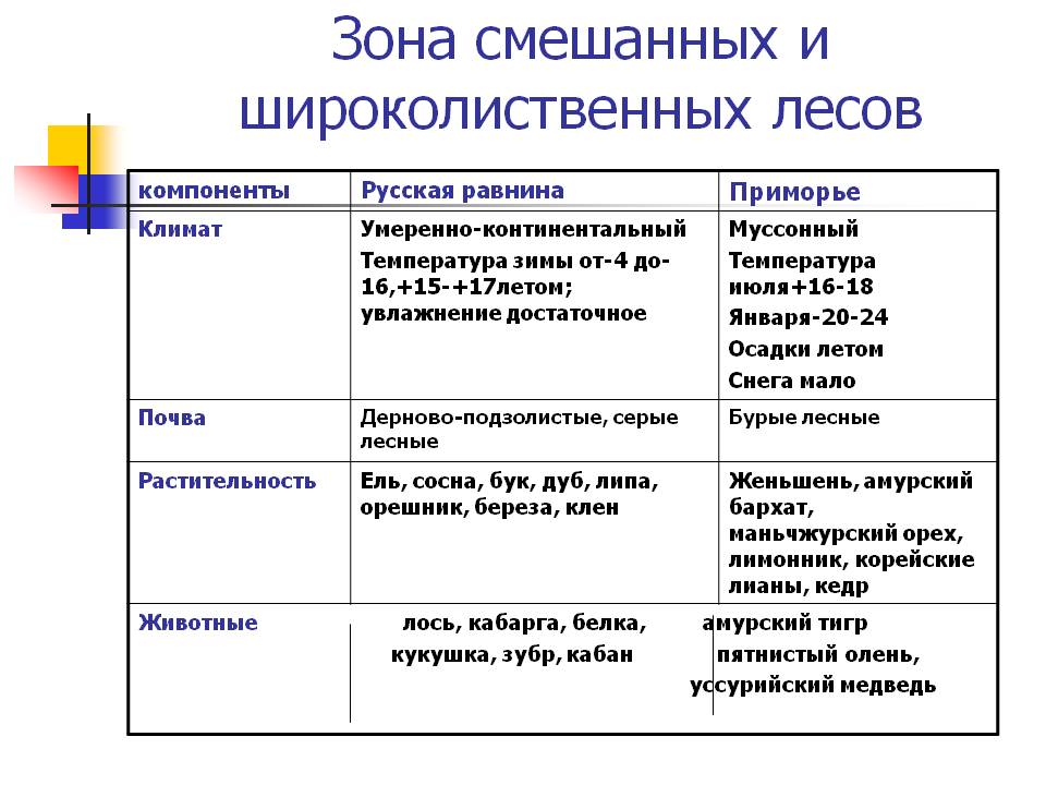 Зона смешанных и широколиственных лесов