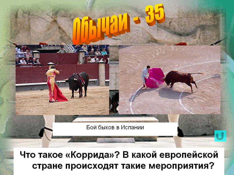 Бой быков