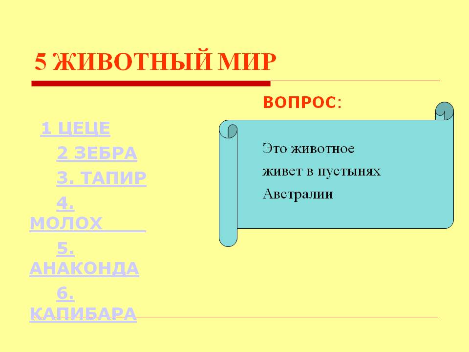 Зебра