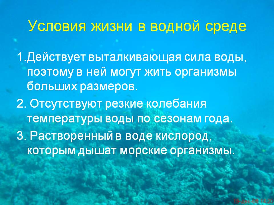 Условия жизни в водной среде