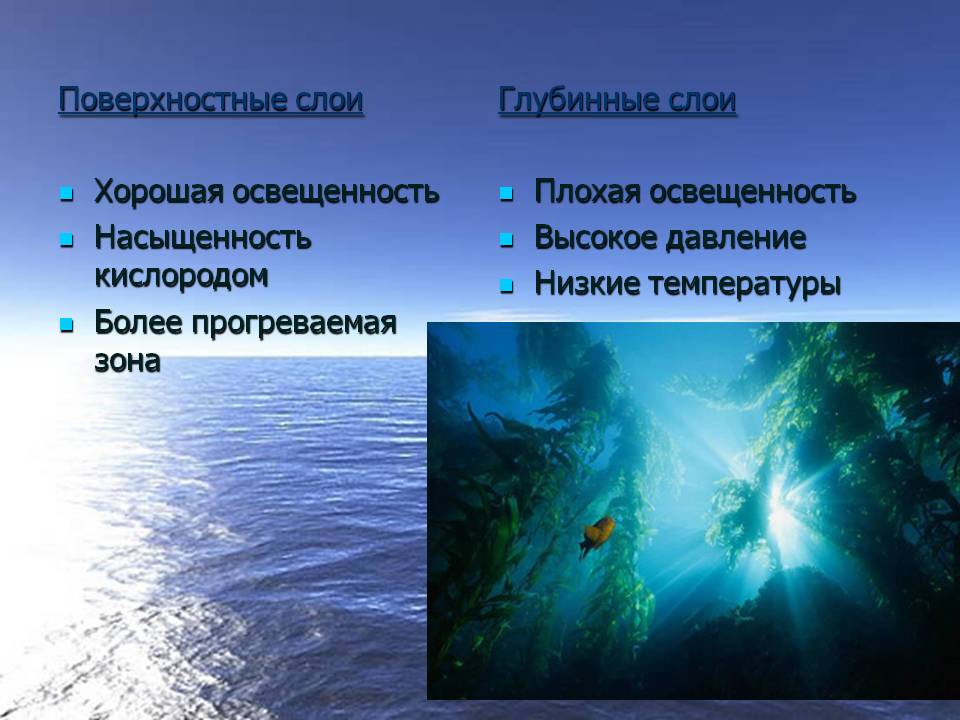 Поверхностные слои