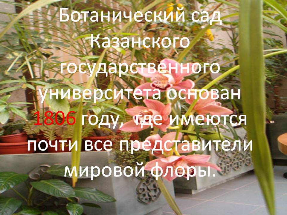 Ботанический сад Казанского государственного университета
