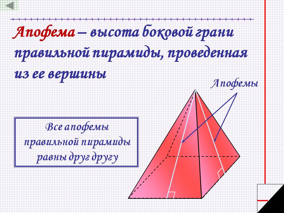 Апофема – высота боковой грани правильной пирамиды, проведенная из ее