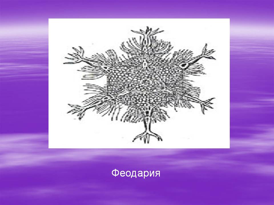 Феодария