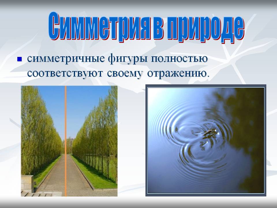 Симметричные фигуры