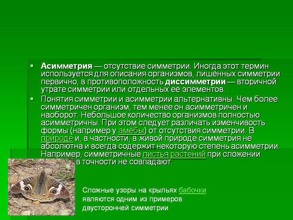 Отсутствие симметрии