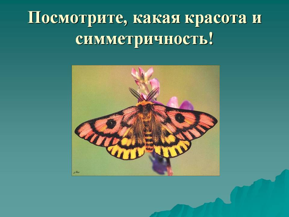 Посмотрите, какая красота и симметричность