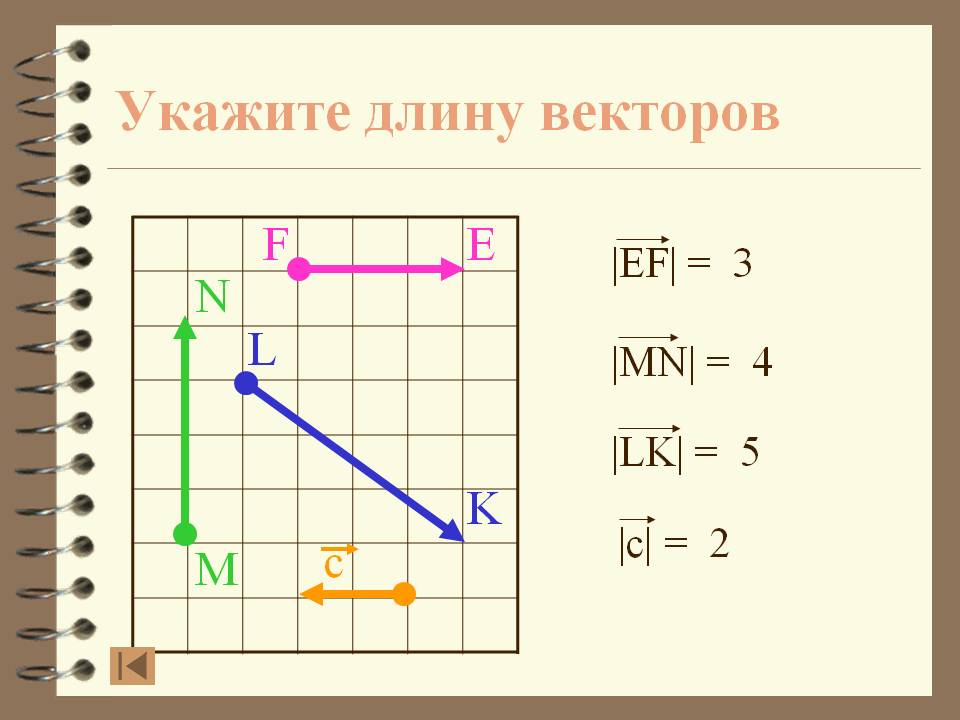 Укажите длину