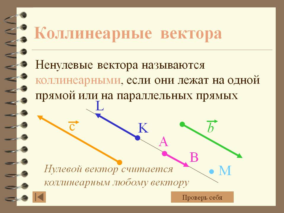Коллинеарные вектора