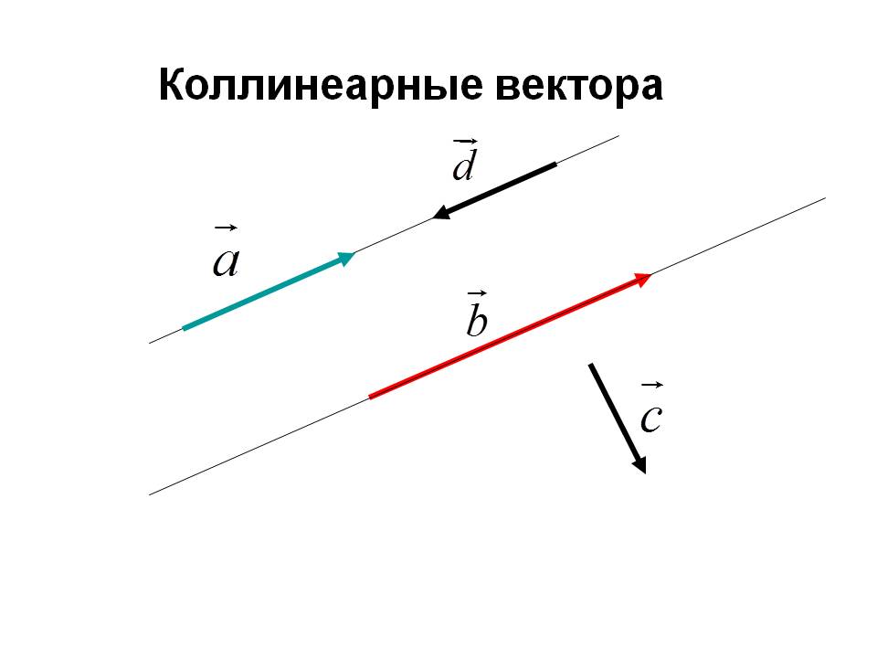 Коллинеарные вектора