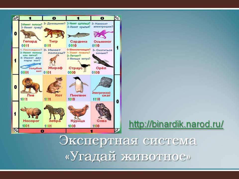 Экспертная система «Угадай животное»