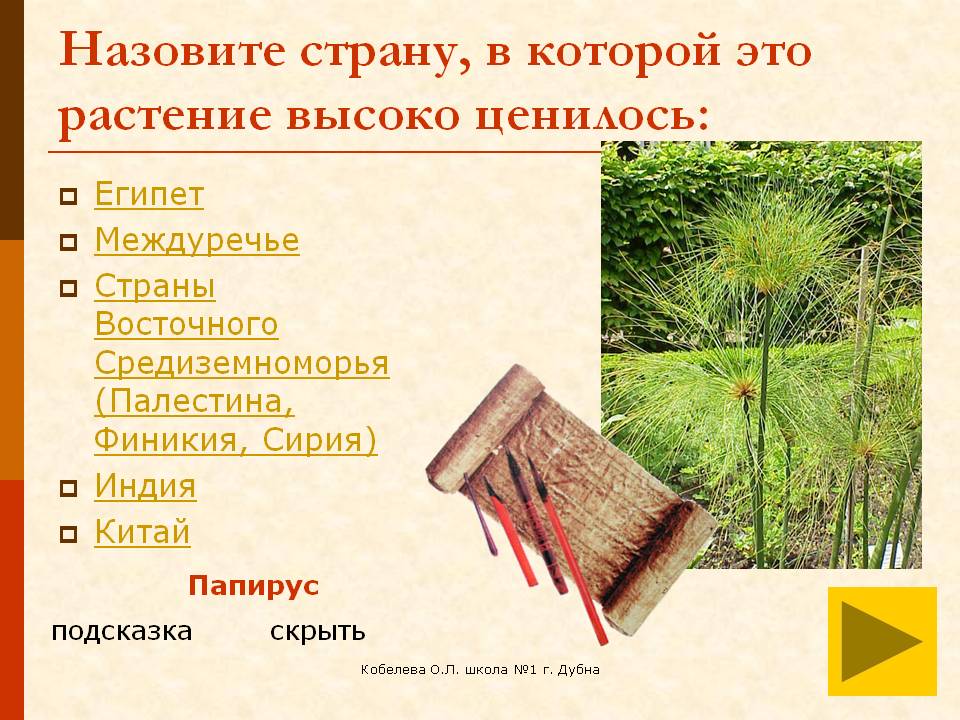 Папирус