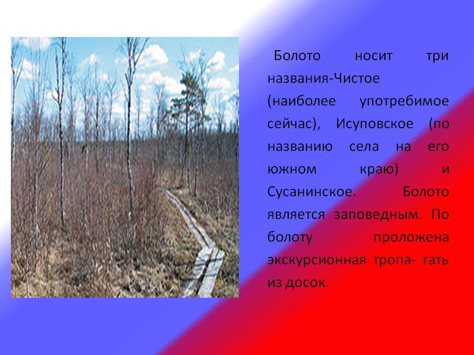 Болото является заповедным