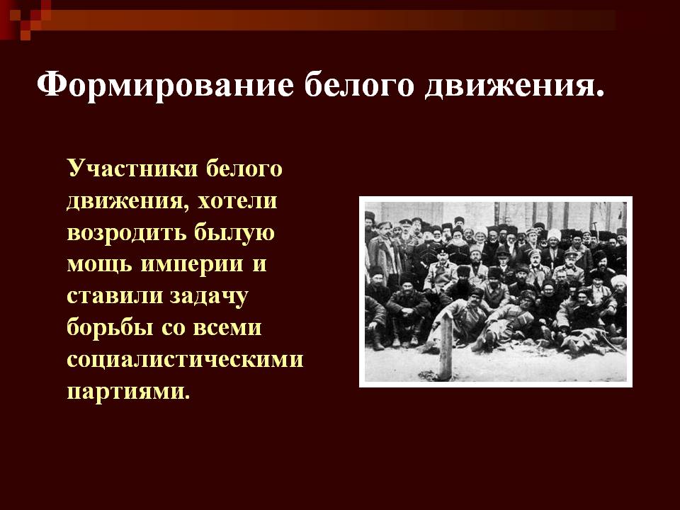 Формирование белого движения