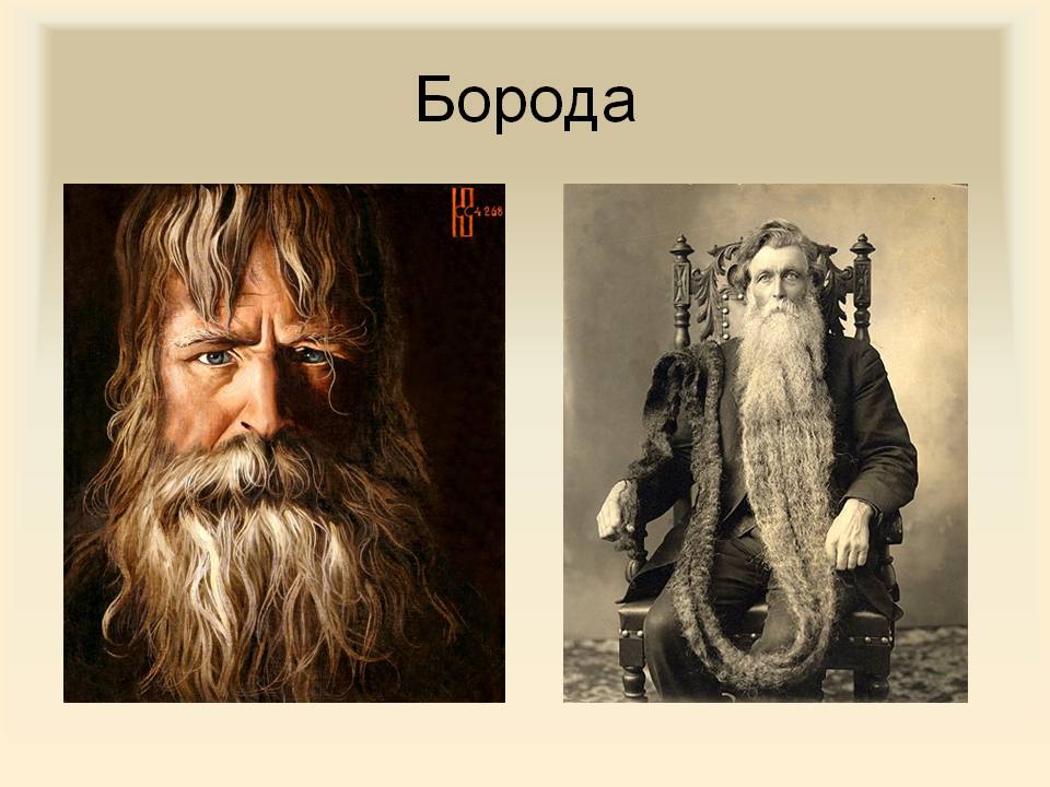 Борода
