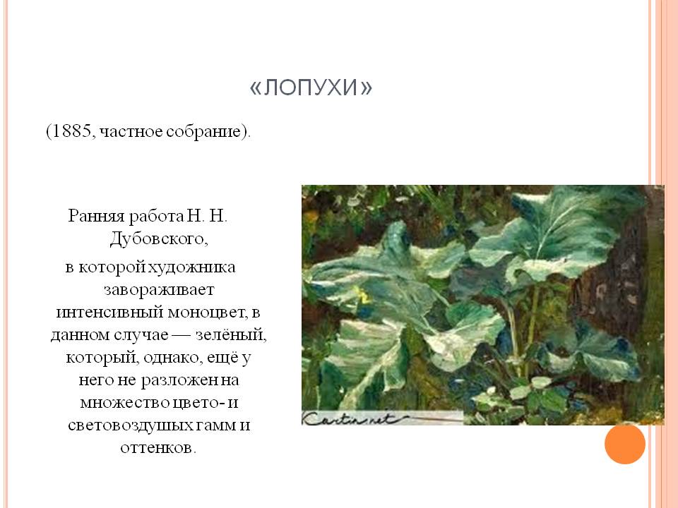 Лопухи