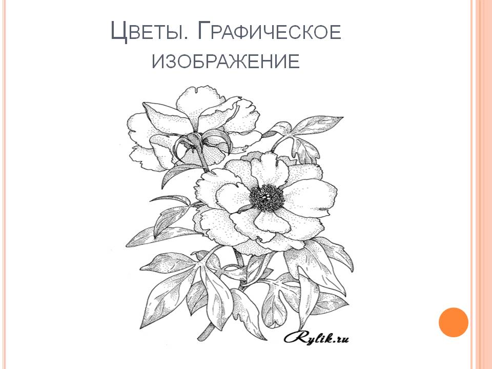 Цветы