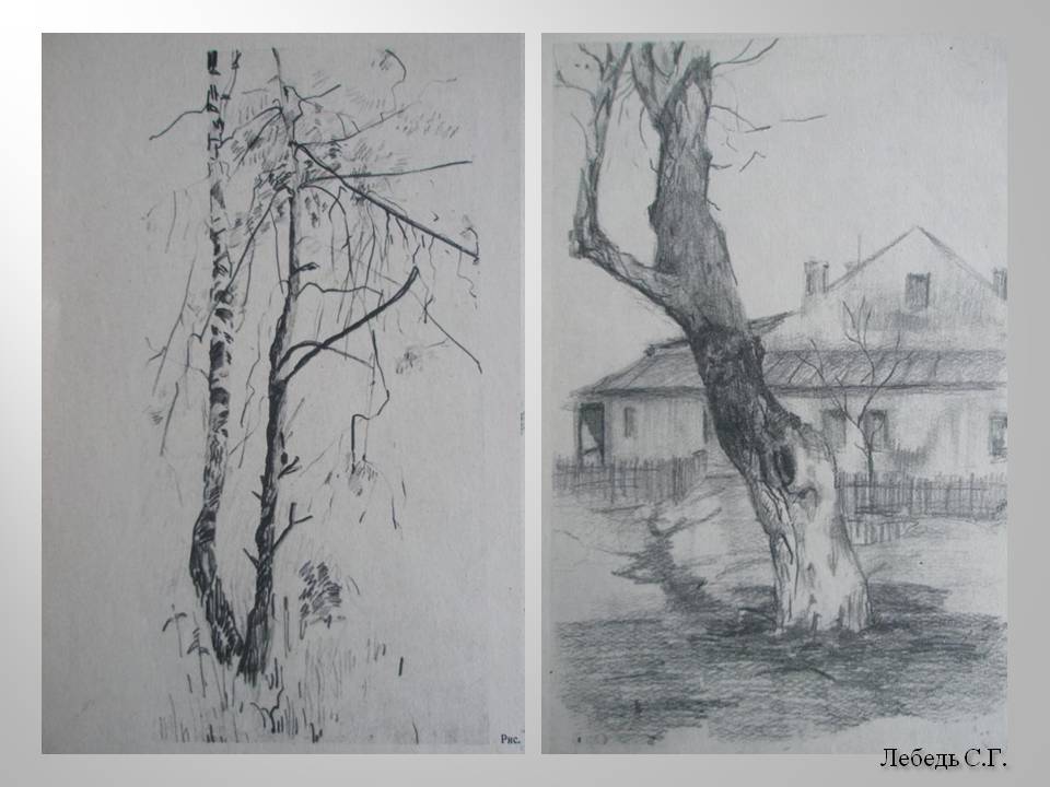 Лебедь С.Г Лебедь С.Г