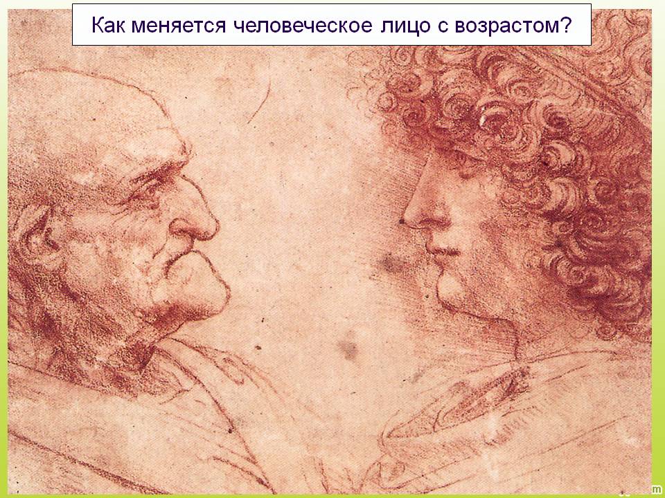 Человеческое лицо