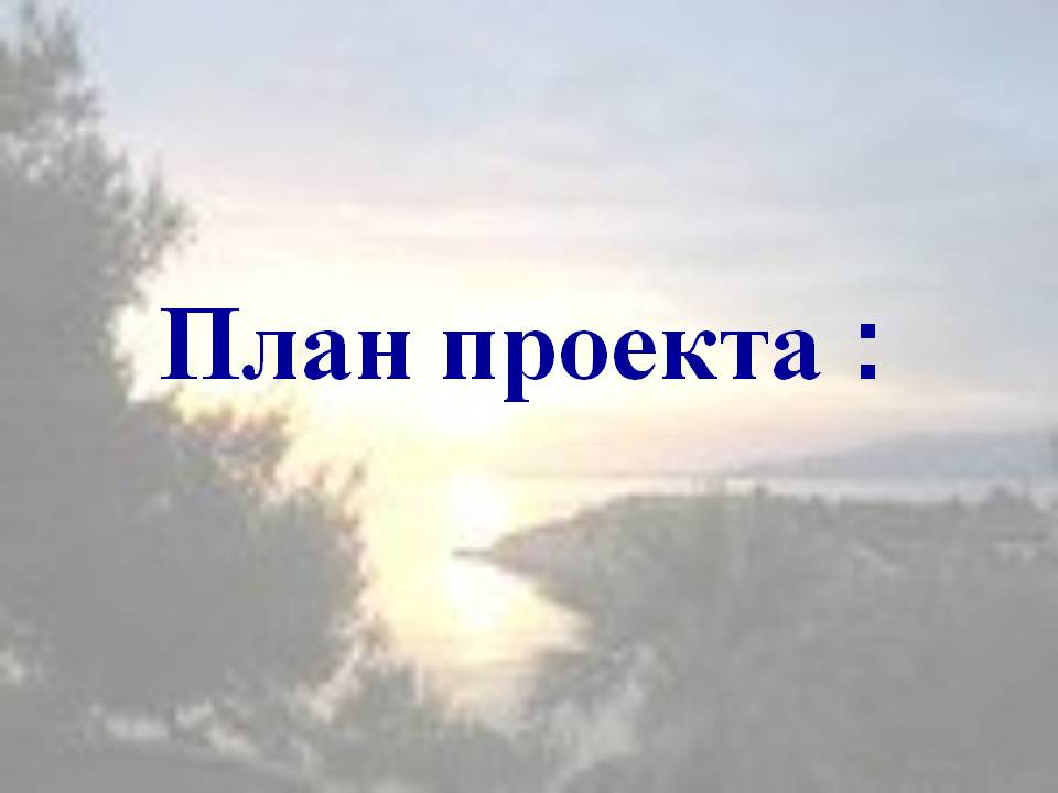 План проекта :