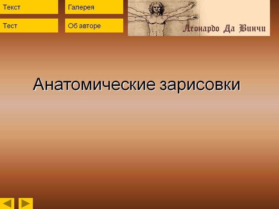 Анатомические зарисовки
