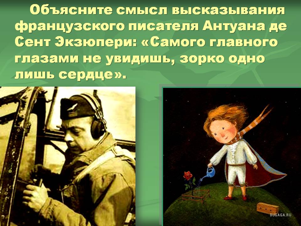 Смысл высказывания французского писателя