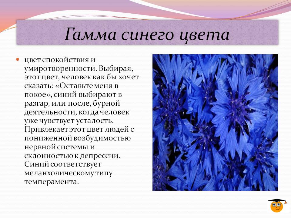 Гамма синего цвета