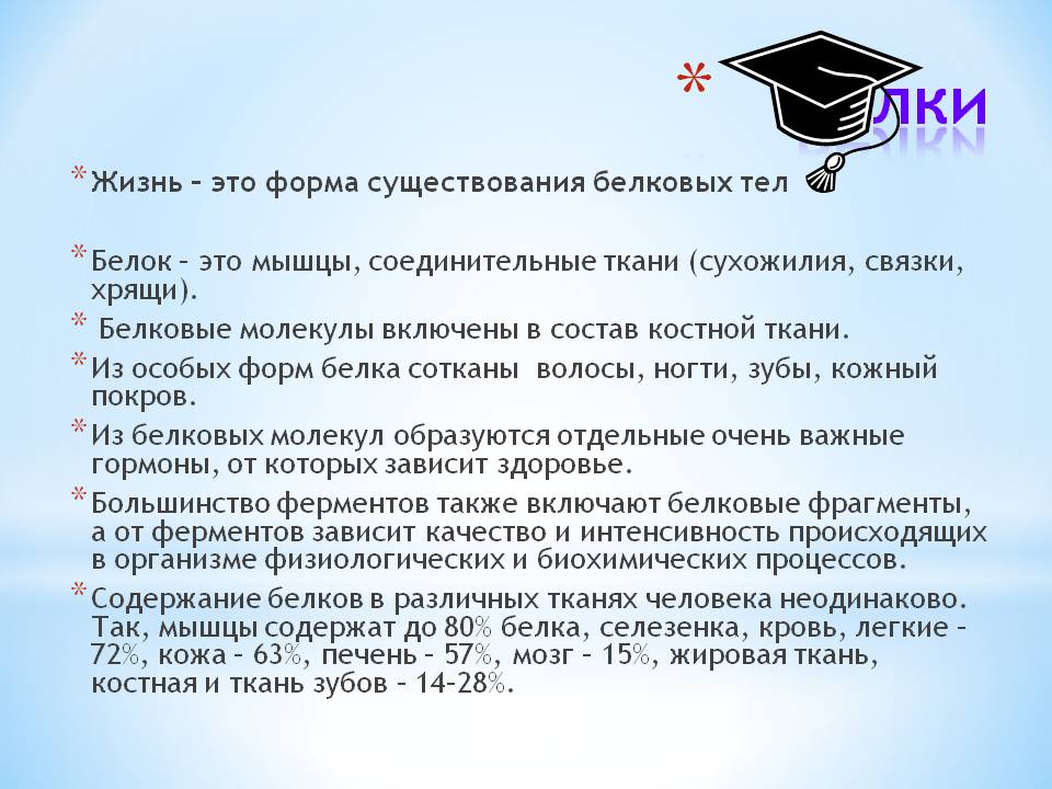 Белки