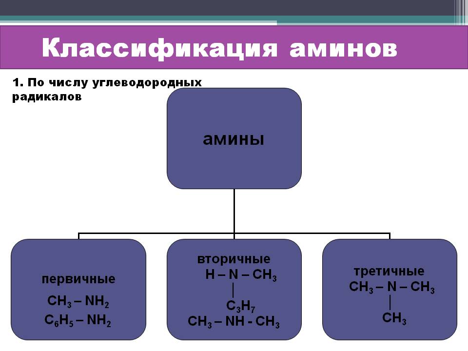 Классификация